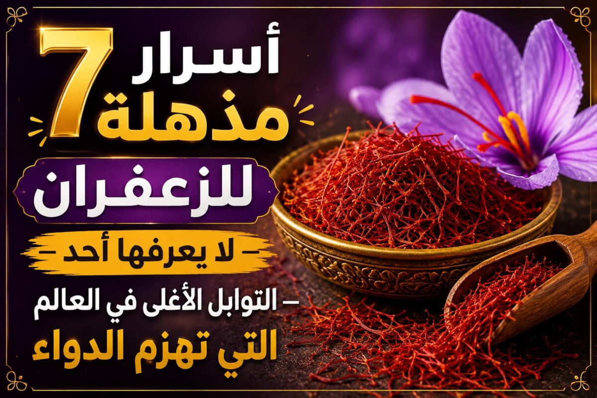 WhatsApp Image 2026 05 09 At 02.46.29 1200x800